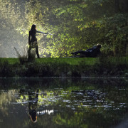 Updated: Arrow “Vendetta” Ratings Report: How Did It Do?