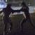 Arrow: Previously Unreleased Pics From “Darkness On The Edge Of Town” & “Sacrifice”
