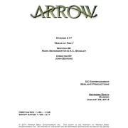 Arrow: Episode #2.17 Is “Birds Of Prey”