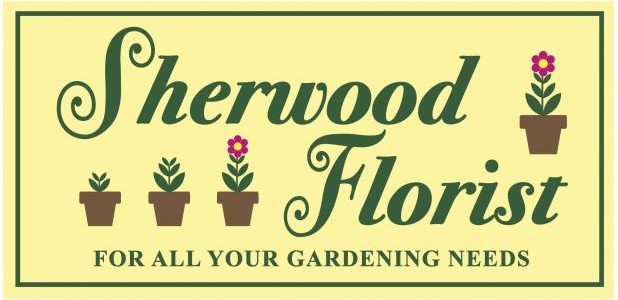 Sherwood Florist Coming To Arrow Season 3