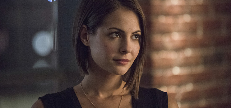 SDCC 2015 Interview: Willa Holland!