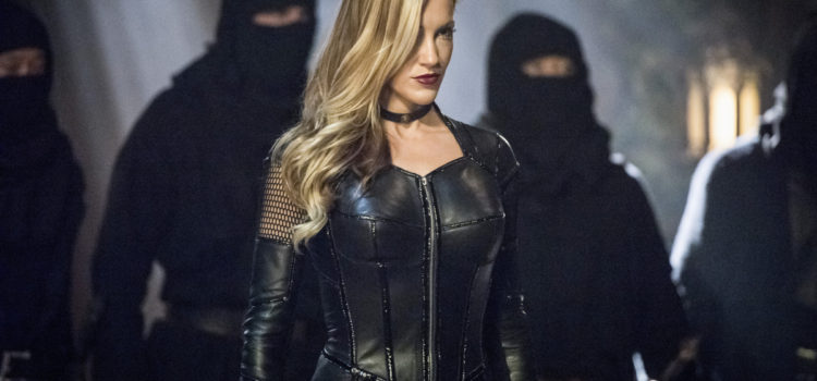 Katie Cassidy Teases Black Siren/White Canary & Thoughts On Dinah Drake